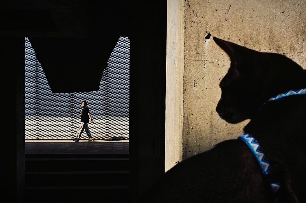 PHOTO JOURNALISM gettyimages フォトジャーナリズム 17,406 Photojournalist Stock Photos, High-Res Pictures, and